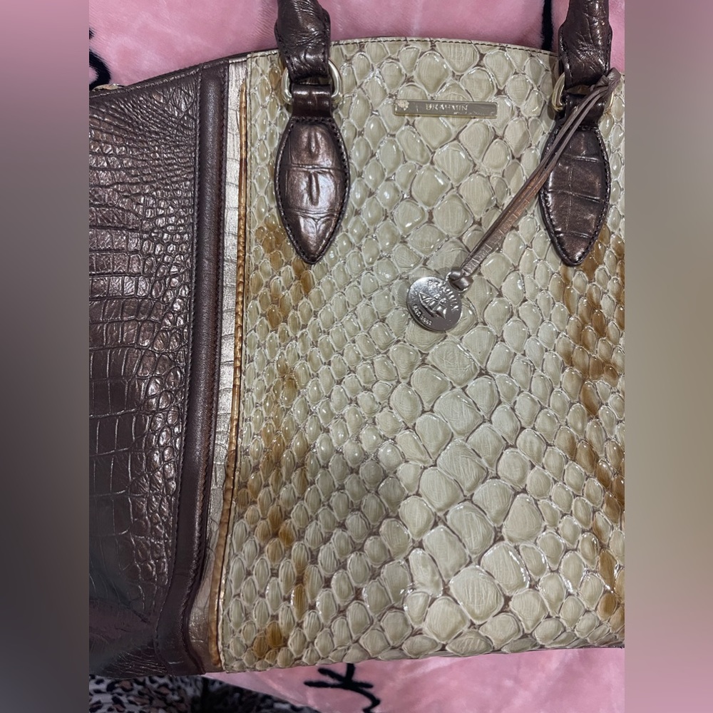 Brahmin